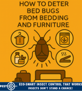 HOW TO DETER BED BUGS FROM BEDDING AND FURNITURE