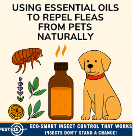 USING ESSENTIAL OILS TO REPEL FLEAS FROM PETS NATURALLY