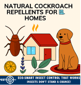 NATURAL COCKROACH REPELLENTS FOR HOMES