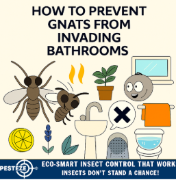 HOW TO PREVENT GNATS FROM INVADING BATHROOMS