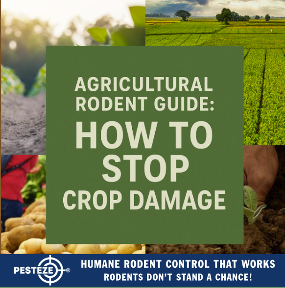 AGRICULTURAL RODENT GUIDE: HOW TO STOP CROP DAMAGE