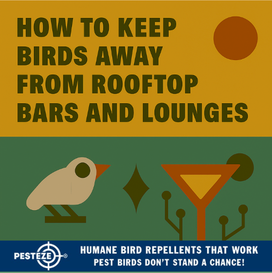 HOW TO KEEP BIRDS AWAY FROM ROOFTOP BARS AND LOUNGES