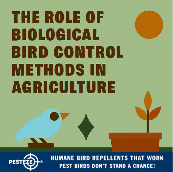 THE ROLE OF BIOLOGICAL BIRD CONTROL METHODS IN AGRICULTURE