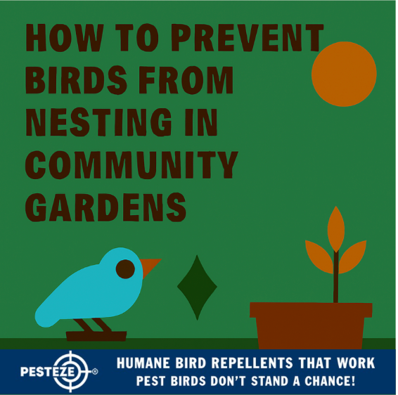 HOW TO PREVENT BIRDS FROM NESTING IN COMMUNITY GARDENS