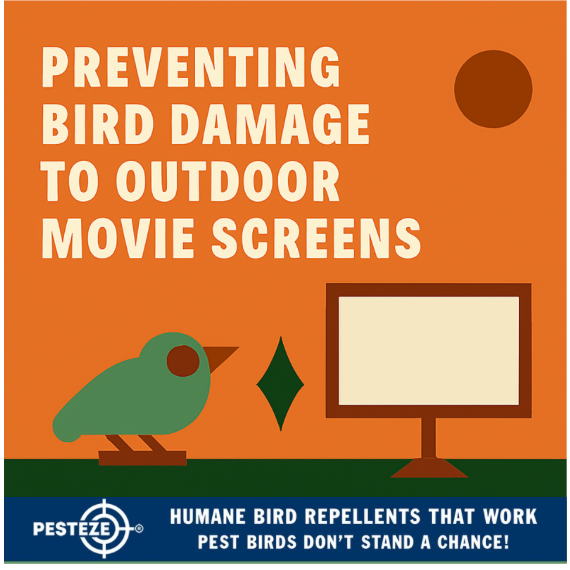 PREVENTING BIRD DAMAGE TO OUTDOOR MOVIE SCREENS