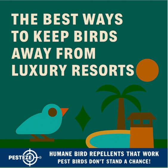THE BEST WAYS TO KEEP BIRDS AWAY FROM LUXURY RESORTS