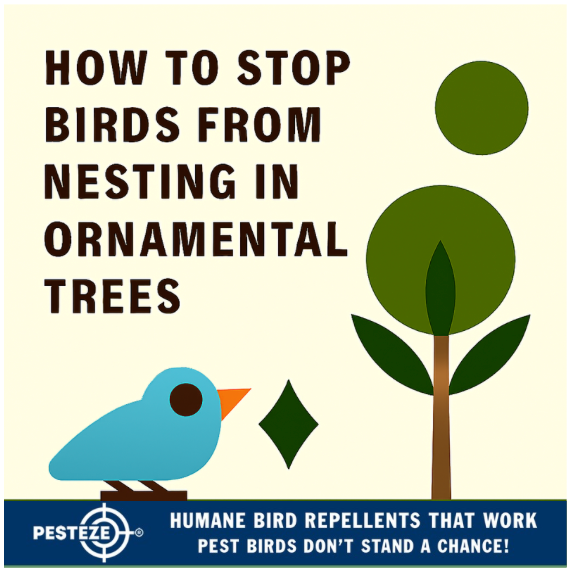 HOW TO STOP BIRDS FROM NESTING IN ORNAMENTAL TREES