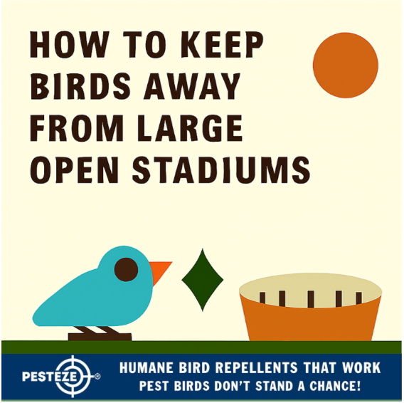 HOW TO KEEP BIRDS AWAY FROM LARGE OPEN STADIUMS
