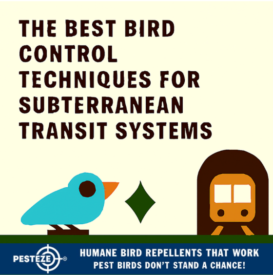 THE BEST BIRD CONTROL TECHNIQUES FOR SUBTERRANEAN TRANSIT SYSTEMS