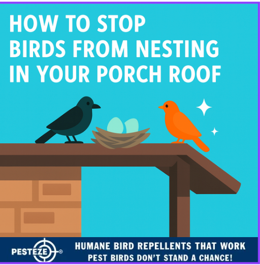 HOW TO STOP BIRDS FROM NESTING IN YOUR PORCH ROOF