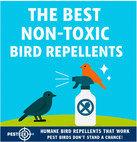 THE BEST NON-TOXIC BIRD REPELLENTS