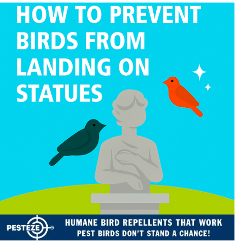 HOW TO PREVENT BIRDS FROM LANDING ON STATUES