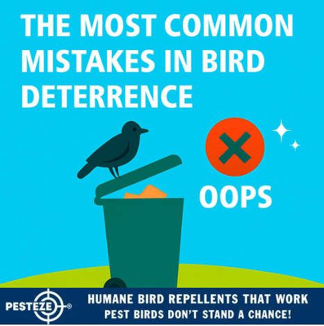THE MOST COMMON MISTAKES IN BIRD DETERRENCE