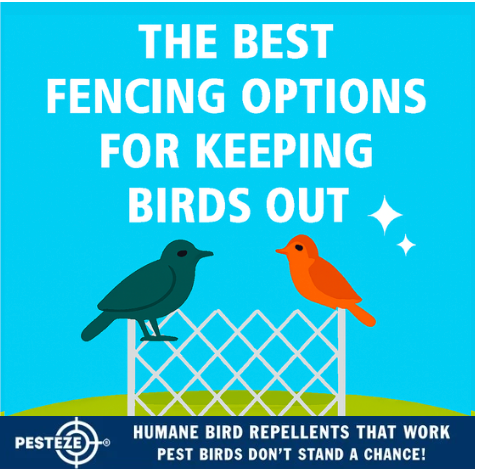The Best Fencing Options for Keeping Birds Out | Humane & Effective ...