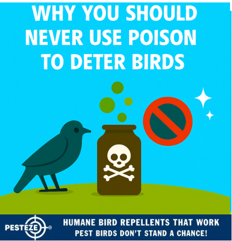 WHY YOU SHOULD NEVER USE POISON TO DETER BIRDS