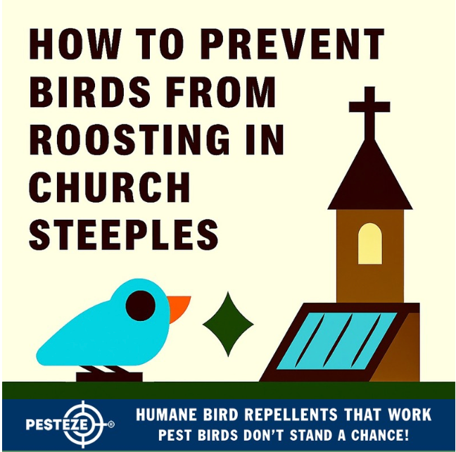 HOW TO PREVENT BIRDS FROM ROOSTING IN CHURCH STEEPLES