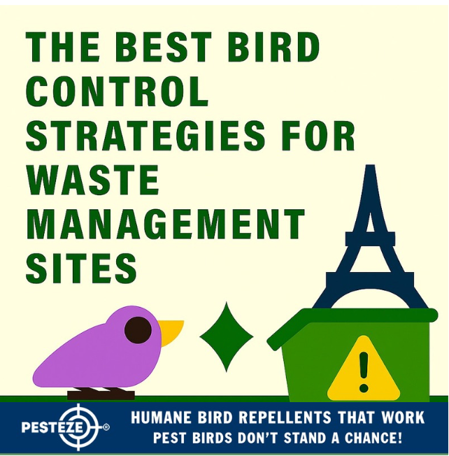THE BEST BIRD CONTROL STRATEGIES FOR WASTE MANAGEMENT SITES