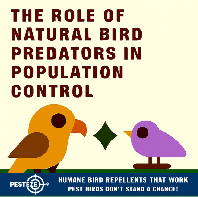 THE ROLE OF NATURAL BIRD PREDATORS IN POPULATION CONTROL