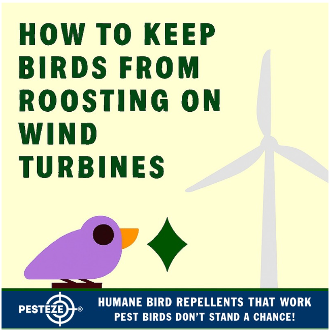 HOW TO KEEP BIRDS FROM ROOSTING ON WIND TURBINES