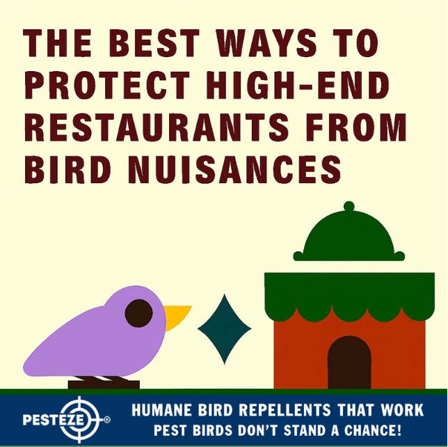 THE BEST WAYS TO PROTECT HIGH-END RESTAURANTS FROM BIRD NUISANCES