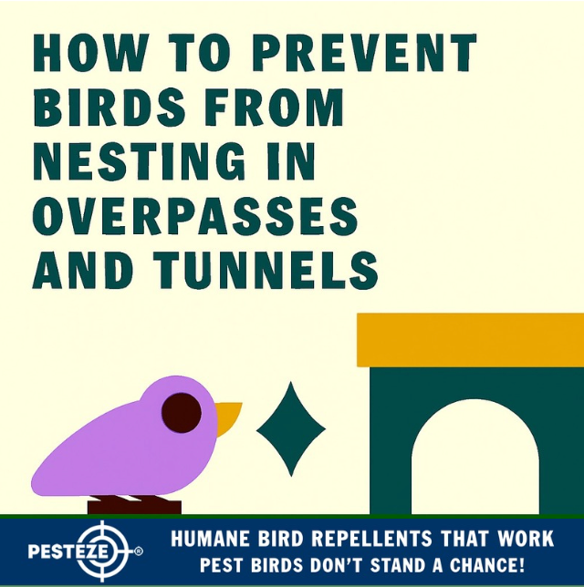 HOW TO PREVENT BIRDS FROM NESTING IN OVERPASSES AND TUNNELS