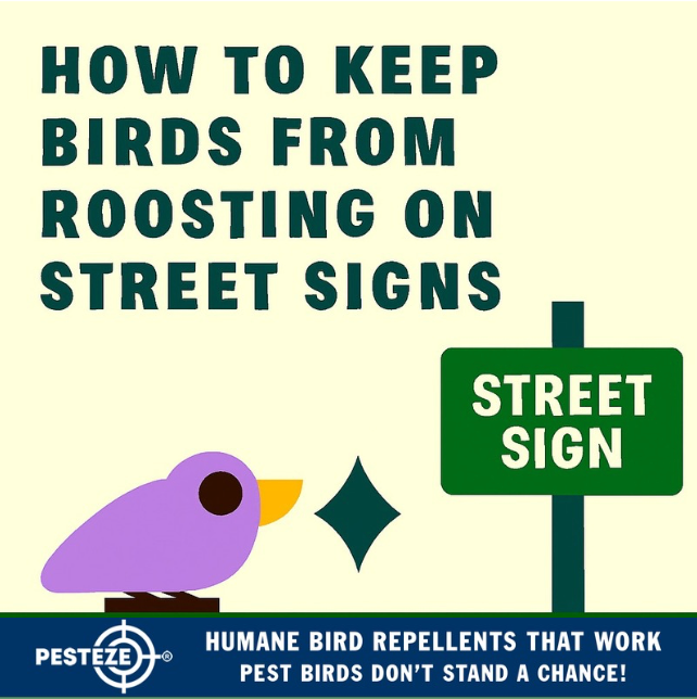 HOW TO KEEP BIRDS FROM ROOSTING ON STREET SIGNS