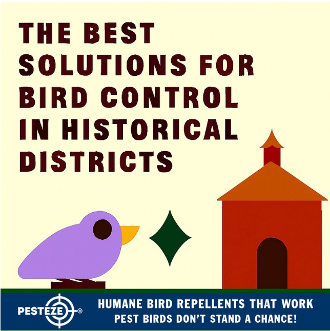 THE BEST SOLUTIONS FOR BIRD CONTROL IN HISTORICAL DISTRICTS