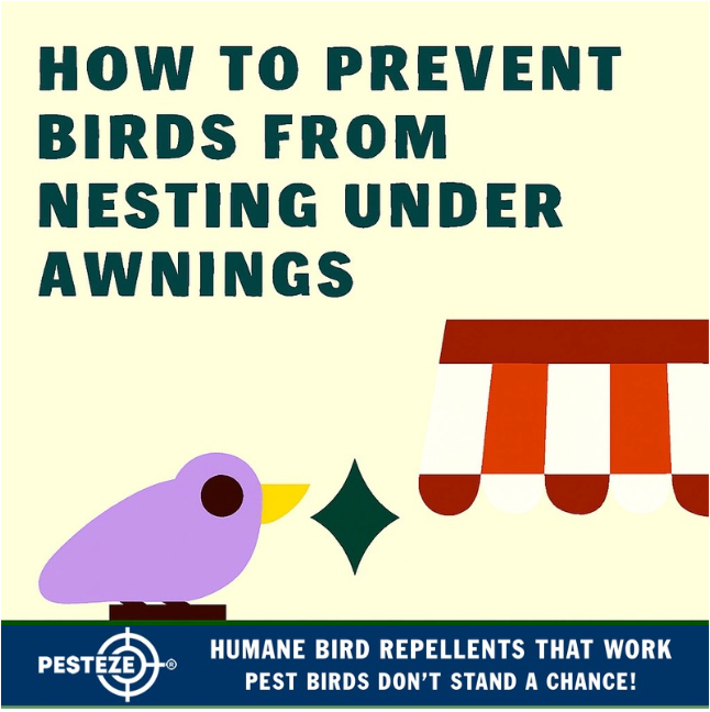HOW TO PREVENT BIRDS FROM NESTING UNDER AWNINGS
