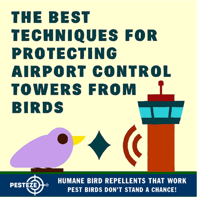 THE BEST TECHNIQUES FOR PROTECTING AIRPORT CONTROL TOWERS FROM BIRDS