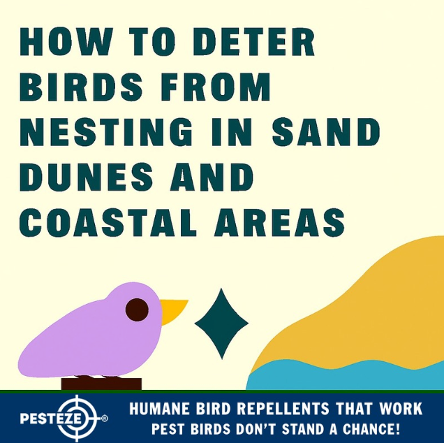 HOW TO DETER BIRDS FROM NESTING IN SAND DUNES AND COASTAL AREAS