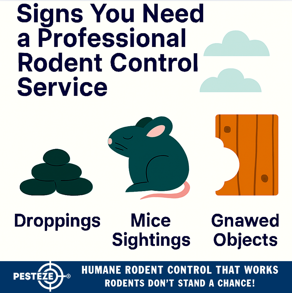 SIGNS YOU NEED A PROFESSIONAL RODENT CONTROL SERVICE