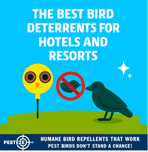 THE BEST BIRD DETERRENTS FOR HOTELS AND RESORTS
