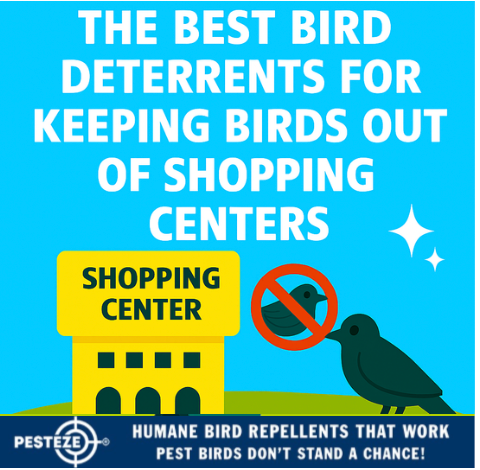 THE BEST BIRD DETERRENTS FOR KEEPING BIRDS OUT OF SHOPPING CENTERS