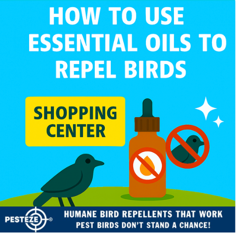HOW TO USE ESSENTIAL OILS TO REPEL BIRDS