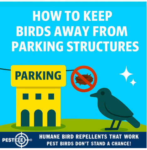 THE BEST BIRD DETERRENTS FOR WIND FARMS