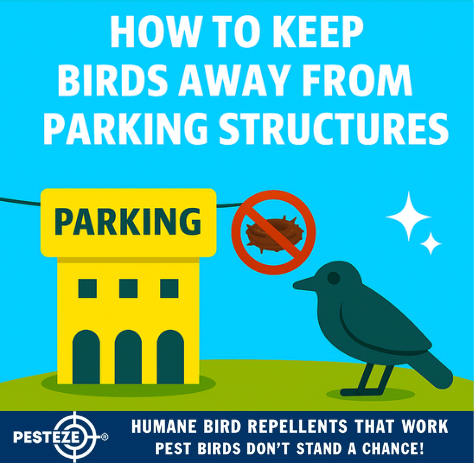 HOW TO KEEP BIRDS AWAY FROM PARKING STRUCTURES
