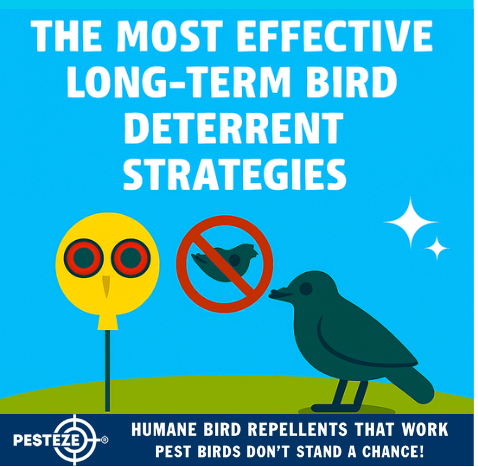 THE MOST EFFECTIVE LONG-TERM BIRD DETERRENT STRATEGIES