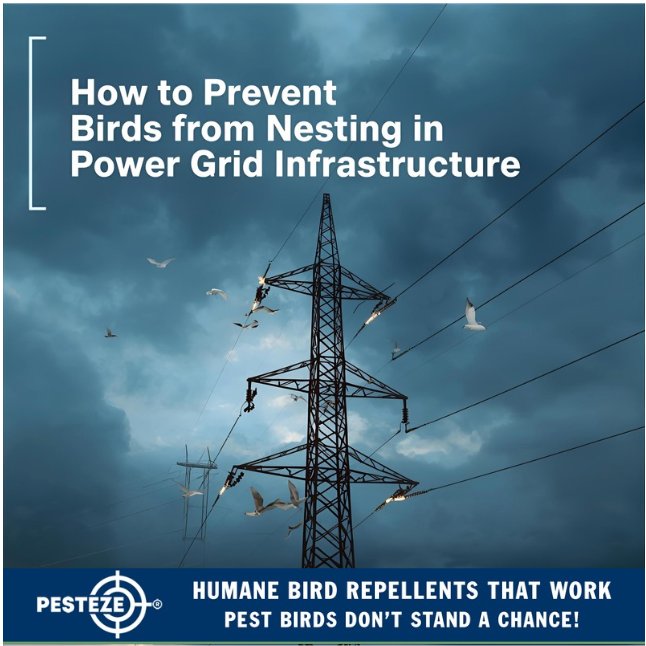 HOW TO PREVENT BIRDS FROM NESTING IN POWER GRID INFRASTRUCTURE