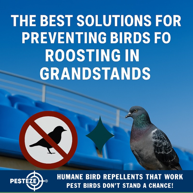 THE BEST SOLUTIONS FOR PREVENTING BIRDS FROM ROOSTING IN GRANDSTANDS