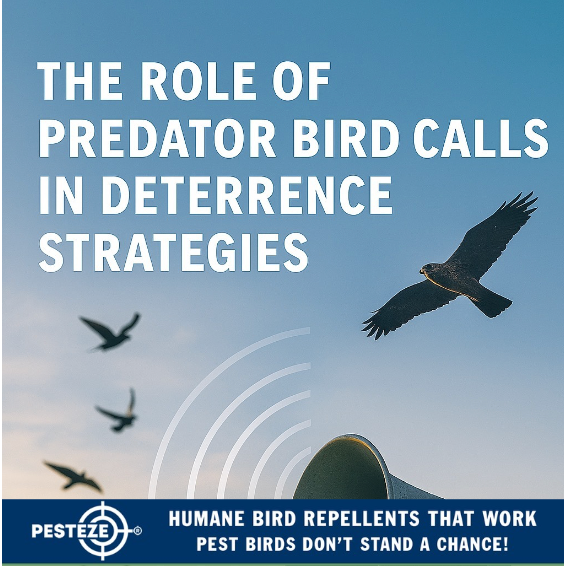 THE ROLE OF PREDATOR BIRD CALLS IN DETERRENCE STRATEGIES