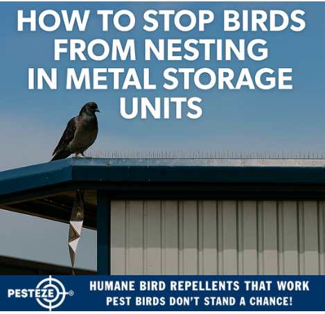 HOW TO STOP BIRDS FROM NESTING IN METAL STORAGE UNITS