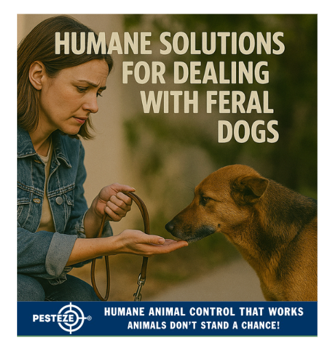 HUMANE SOLUTIONS FOR DEALING WITH FERAL DOGS