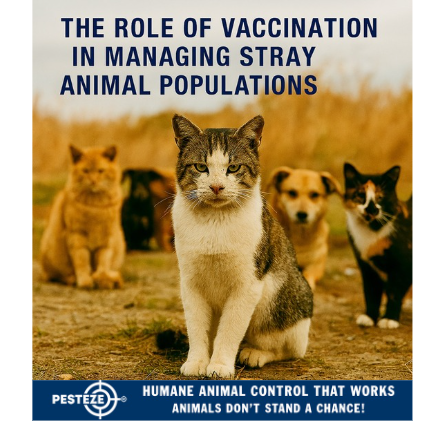 THE ROLE OF VACCINATION IN MANAGING STRAY ANIMAL POPULATIONS