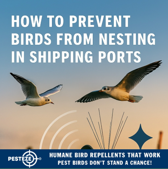 THE ULTIMATE GUIDE TO PREVENTING BIRD NESTING IN SHIPPING PORTS: ECO-SMART MARITIME SOLUTIONS