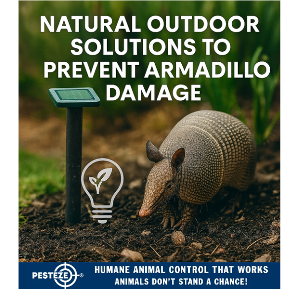 NATURAL OUTDOOR SOLUTIONS TO PREVENT ARMADILLO DAMAGE