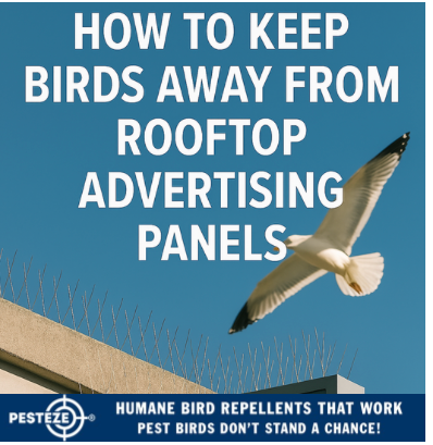 HOW TO KEEP BIRDS AWAY FROM ROOFTOP ADVERTISING PANELS