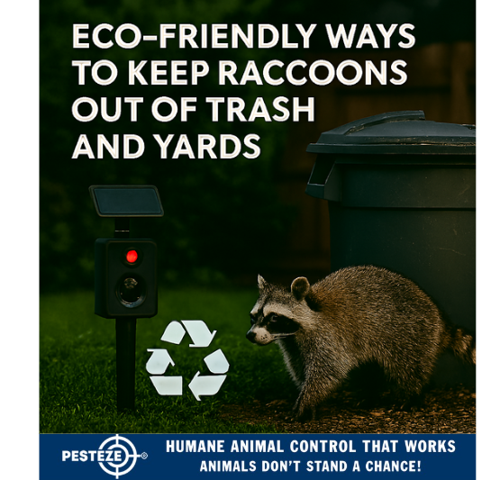 ECO-FRIENDLY WAYS TO KEEP RACCOONS OUT OF TRASH AND YARDS