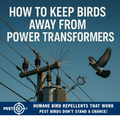 HOW TO KEEP BIRDS AWAY FROM POWER TRANSFORMERS