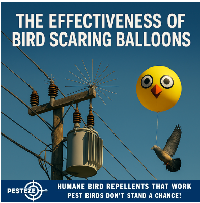 THE EFFECTIVENESS OF BIRD SCARING BALLOONS
