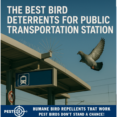 THE BEST BIRD DETERRENTS FOR PUBLIC TRANSPORTATION STATIONS